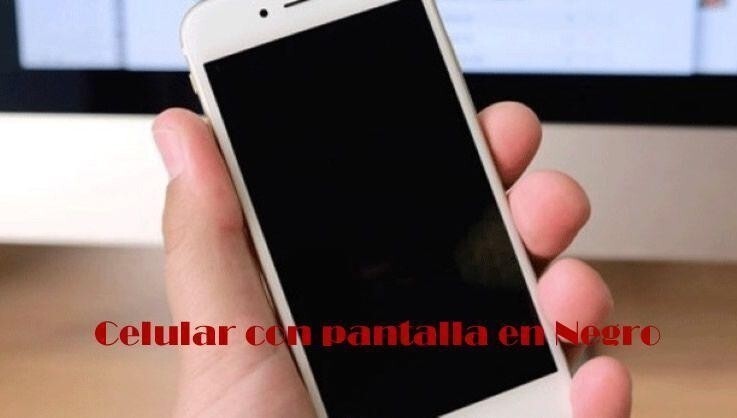 Teléfono encendido pero con la pantalla completamente negra