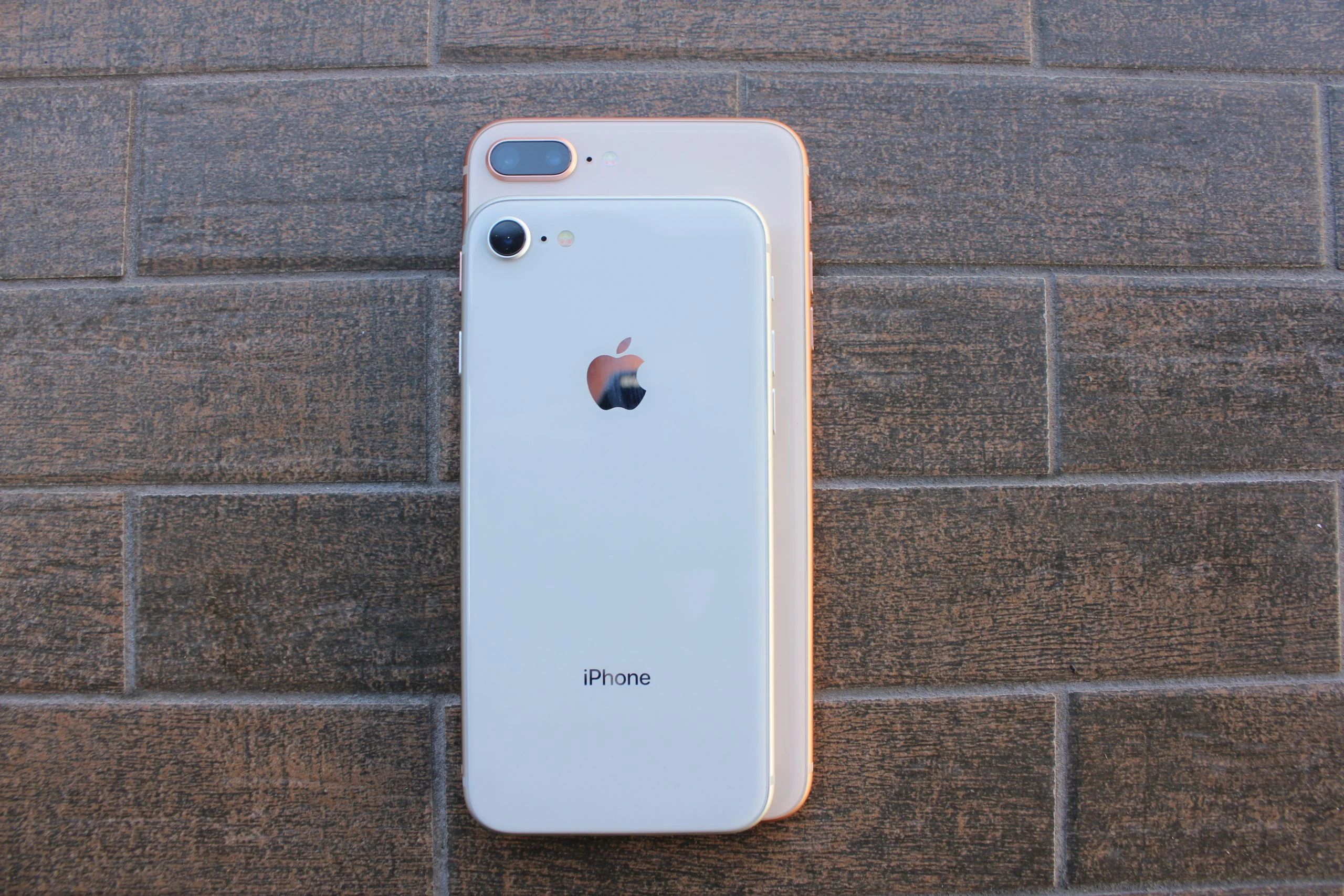 Parte trasera de vidrio del iPhone 8 y del iPhone 8 Plus